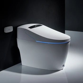 Vannituba wc austraalia standard smart wc kusi closestool